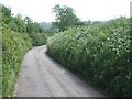 Slade Road southeast of Ottery St Mary