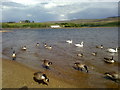 Hollingworth Lake