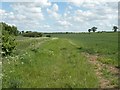 Farmland near Borley Green