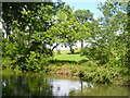 Basingstoke Canal by Coxmoor Wood