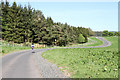 Road Beside The Black Plantation