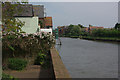 River Arun, Arundel