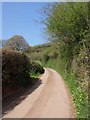 Lane from Puddington Bottom