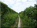 Bridleway to Dumpton Lane