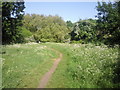 Path on Putney Heath