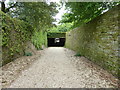 Cowyard Tunnel at Petworth Park