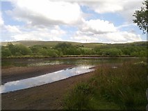 SD9414 : Nature Reserve at Hollingworth Lake by Steven Haslington