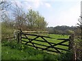 Gate and field edge above Penn Coppice