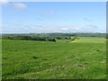 Fields near High Trees Farm