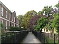 TQ4076 : Footpath by Morden College by Mike Quinn