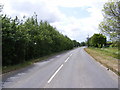 TM3054 : B1438 Yarmouth Road by Geographer
