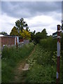 TM2955 : Footpath to the B1078 Border Cot Lane by Geographer