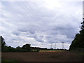 Fields near the footpath to Campsea Ashe