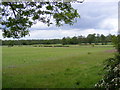 TM3055 : Fields next to the footpath to Campsea Ashe by Geographer