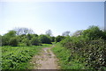 TQ3568 : Footpath through South Norwood Country Park by N Chadwick