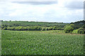 Ermington: towards Tod Moor