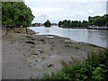 River Thames at Kew at low tide