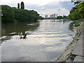 River Thames, Kew