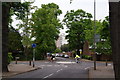 Cyclists on Augustus Road