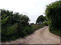 Three Stiles Lane Bridleway to Felixstowe Road