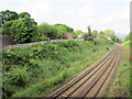 SJ2943 : Railway south of Ruabon station by John Firth