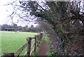 Footpath to Ploggs Hall