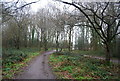 TQ5746 : Woods on the edge of Haysden Country Park by N Chadwick
