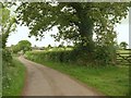 Approaching Mear Farm