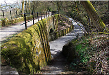 SD9806 : Spring Brow bridge, Ladcastle, Dobcross by Michael Fox
