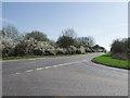 ST7313 : Junction of the A357 and the A3030, Lydlinch by nick macneill