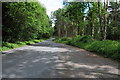 Road through Bourne Wood