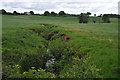 Tributary of the Olway Brook