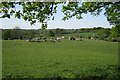 SP1966 : Cattle and sheep northwest of Holywell by Robin Stott