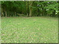 Stile entry into small wood near Acorns