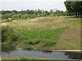 The Quaggy River, Sutcliffe Park (7)