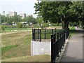 The Quaggy River flood defence scheme, Sutcliffe Park (4)