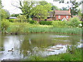 Forest Green Pond