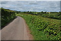 Road near Llangwm