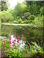 The pond on the Enys Estate