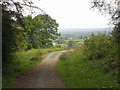 Bridleway on Lodge Hill