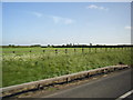 Fields next to M56 eastbound near Hatton