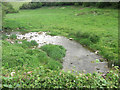 Broadmead Brook south of Nettleton Shrub