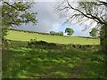 Hillside above the Dalch