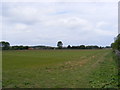 Looking towards Bridge Farm