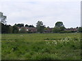 Houses on Spring Lane