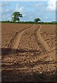 SS8113 : Field by Millbarn Cross by Derek Harper