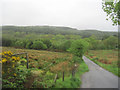 Minor road to Chambered Cairn