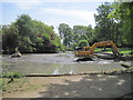 Pond cleaning in Hampden Park