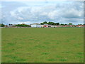 SE5935 : Farmland near Wistow by JThomas
