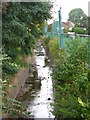 TQ4174 : The Quaggy River north of Eltham Palace Road, SE9 by Mike Quinn